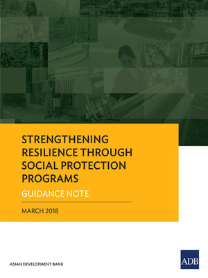 cover image of Strengthening Resilience through Social Protection Programs